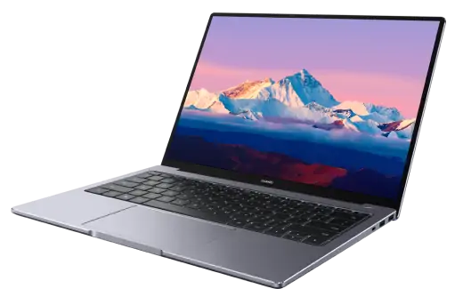 Evelyn Bogan